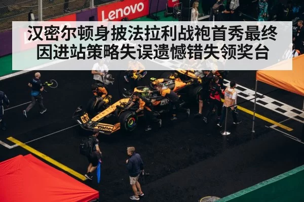 F1 pit stop strategy